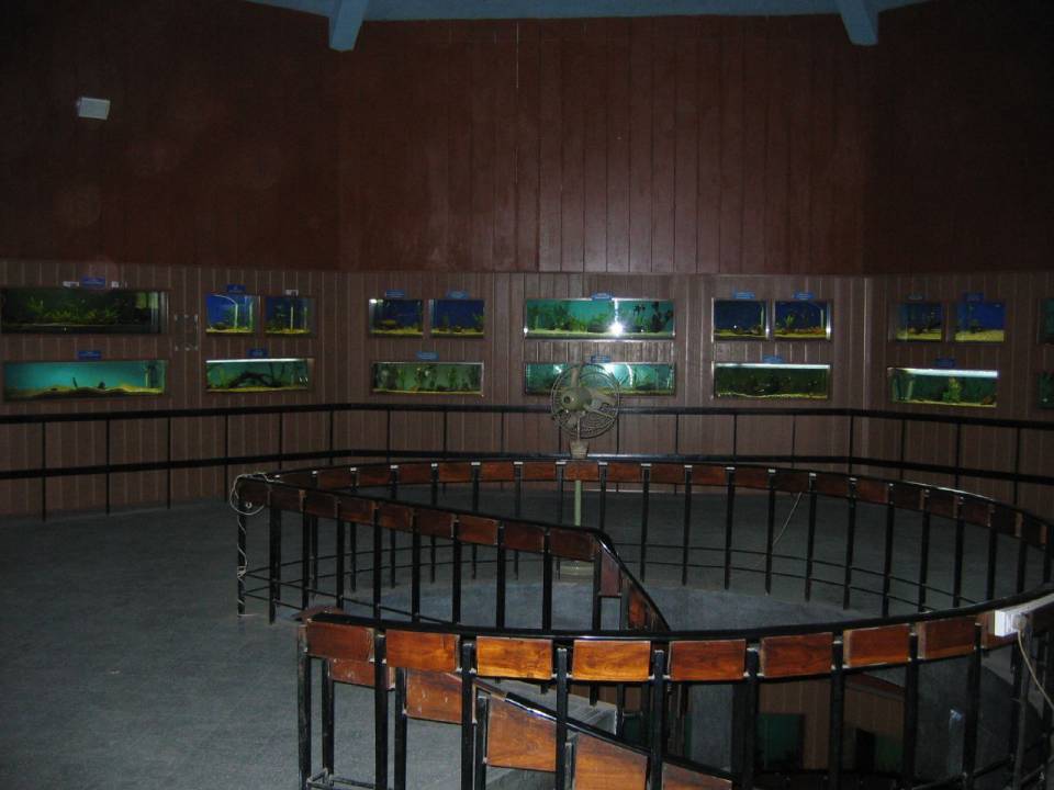 Bangalore Aquarium (1).jpg